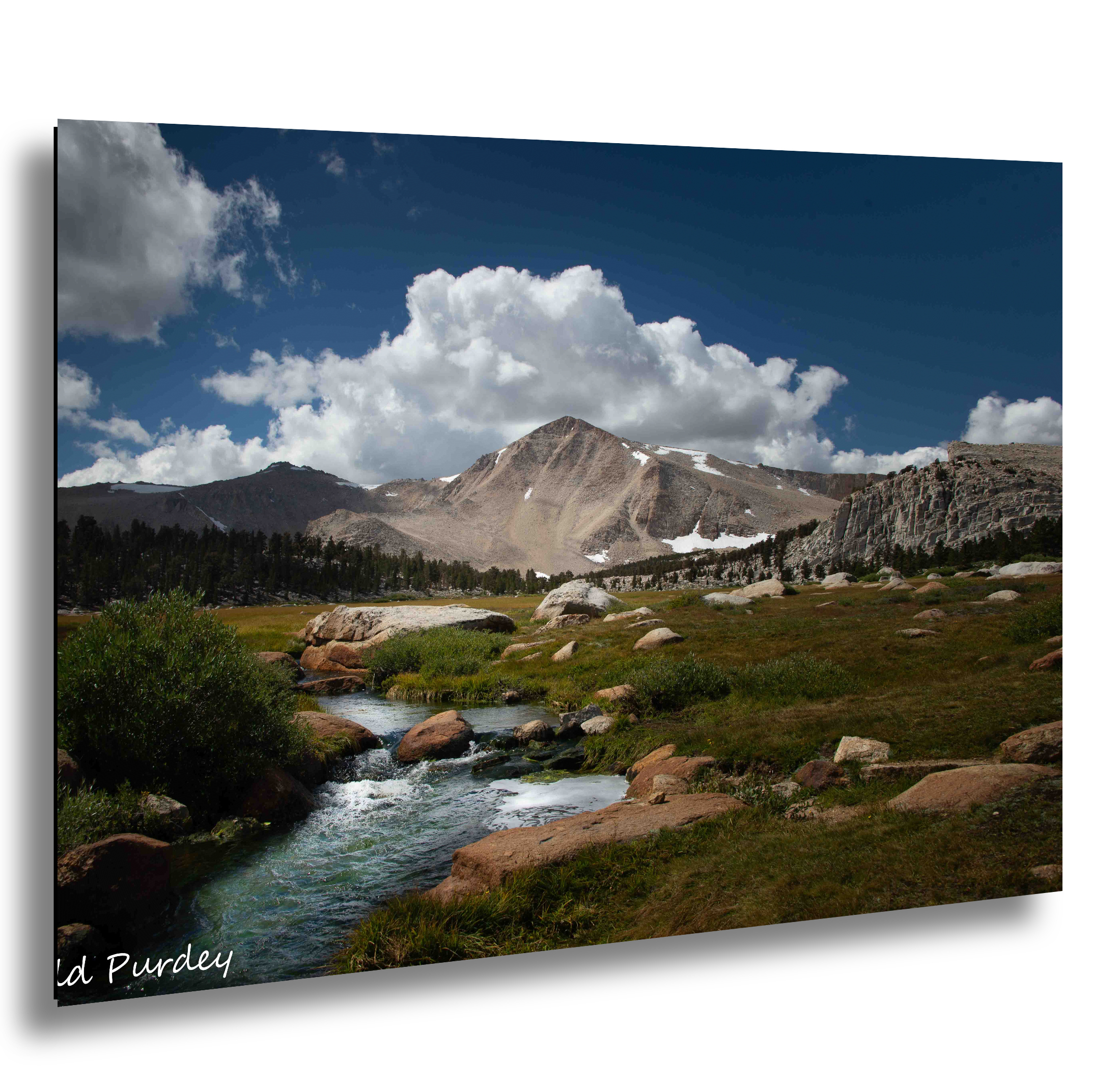 1-Slanted-2023-9-15-Cottonwood-Meadow-1.jpeg