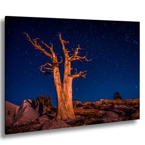 Starry Night