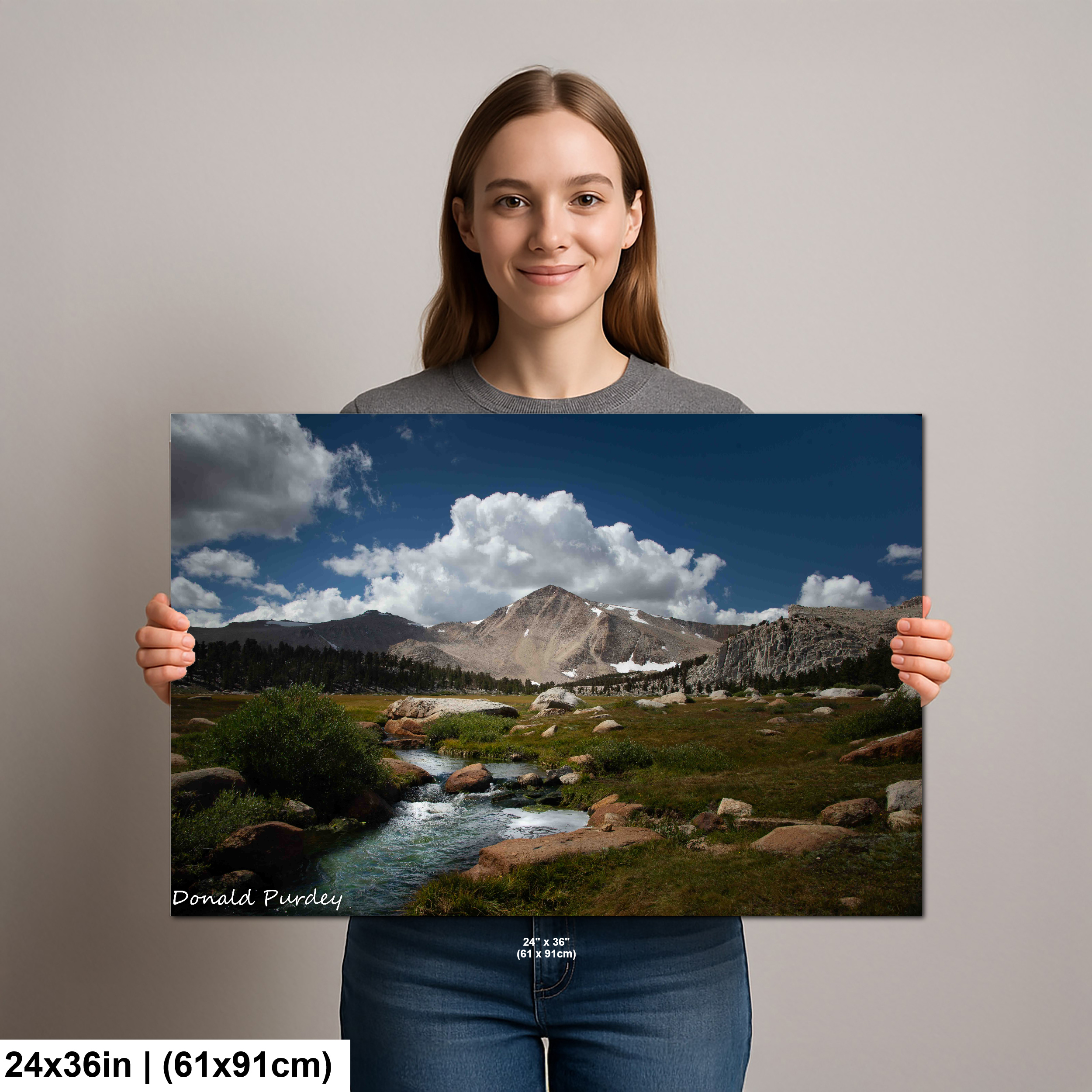 11-H-Human-24x36-2023-9-15-Cottonwood-Meadow-1-diagram-H-Human-24x36-1.jpeg