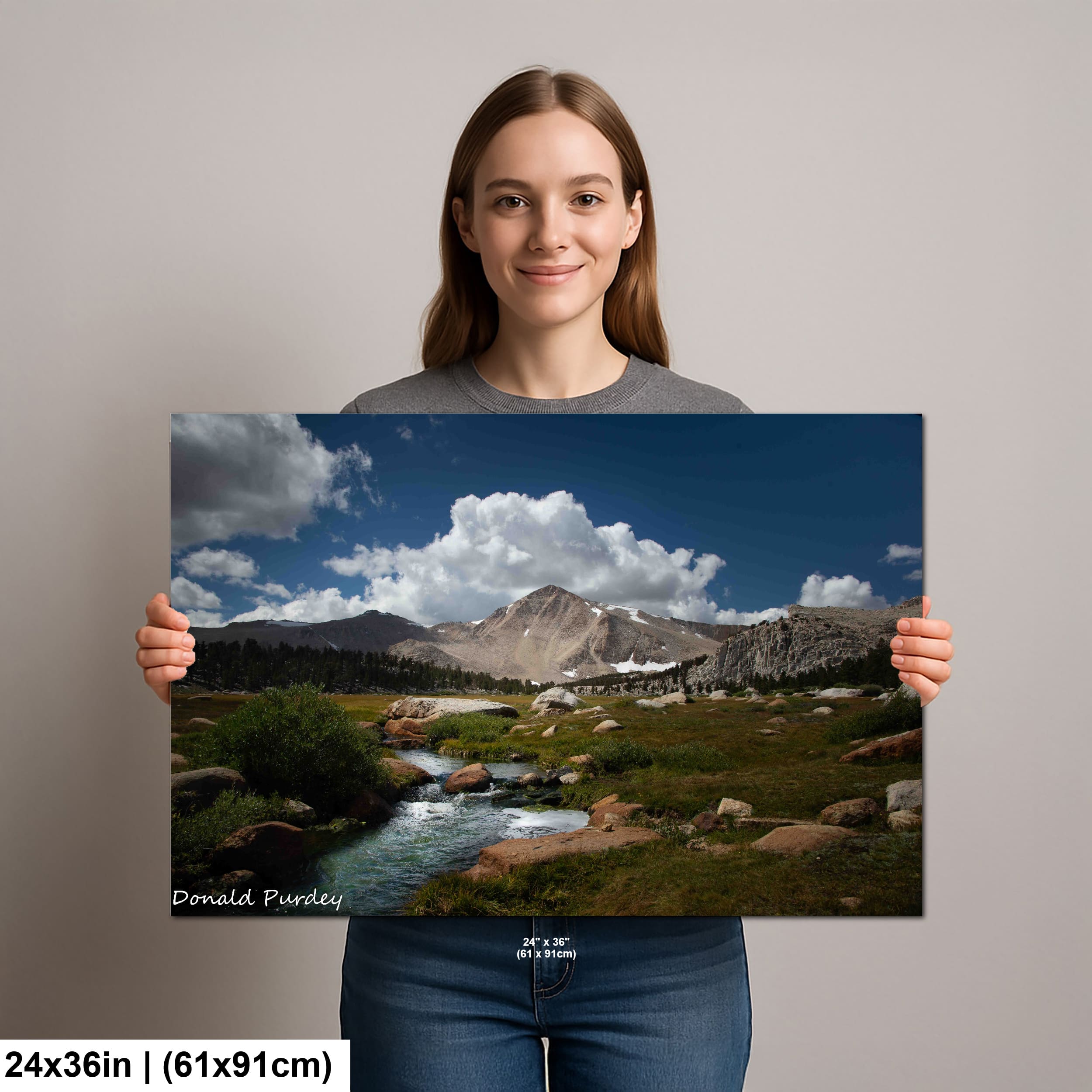 11-H-Human-24x36-2023-9-15-Cottonwood-Meadow-diagram-H-Human-24x36-2.jpeg
