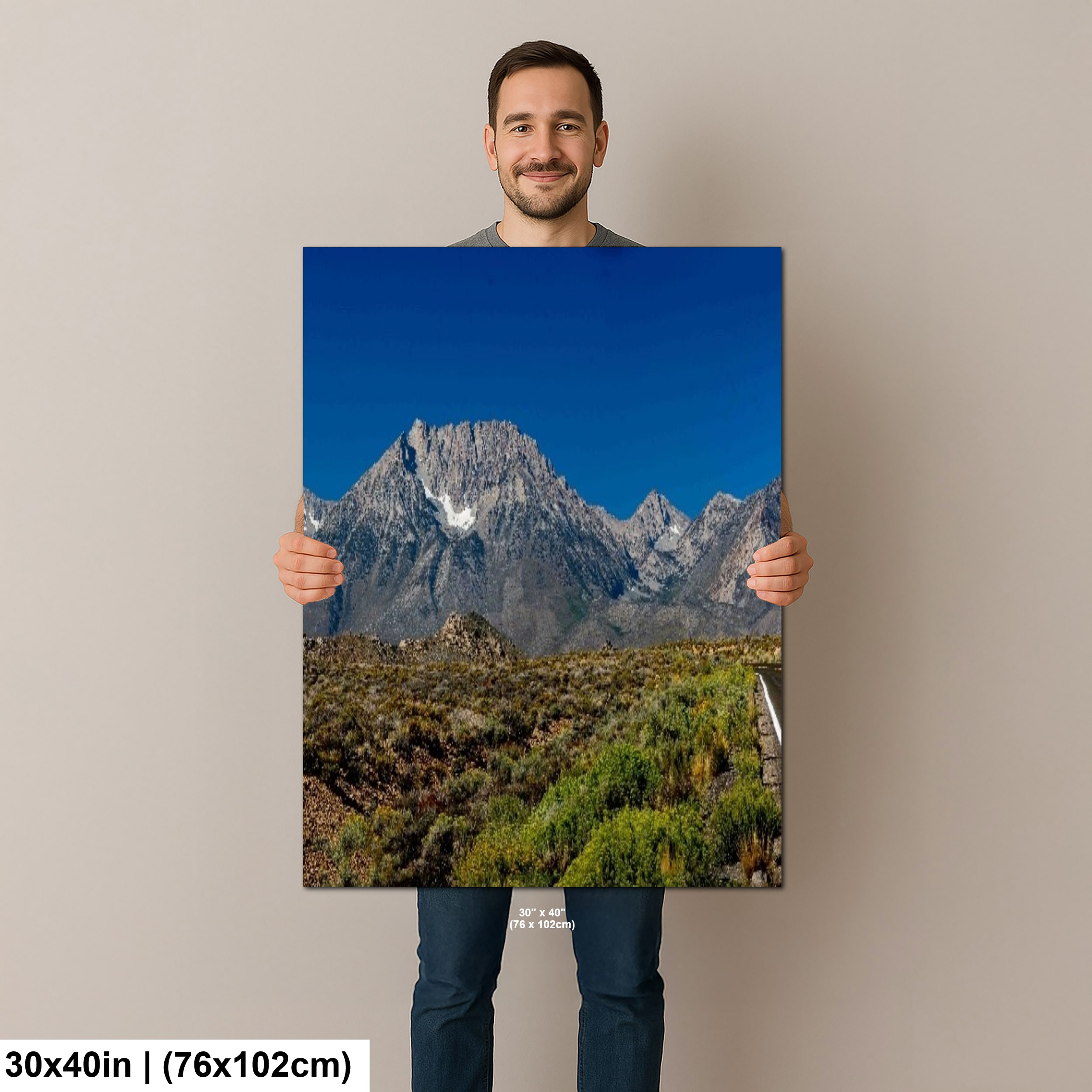 12-V-Human-30x40-Picture5-diagram-V-Human-30x40-min.jpeg