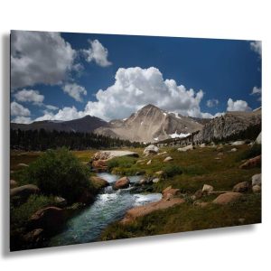 Sierra Nevada Mountain Print: Cottonwood Metal