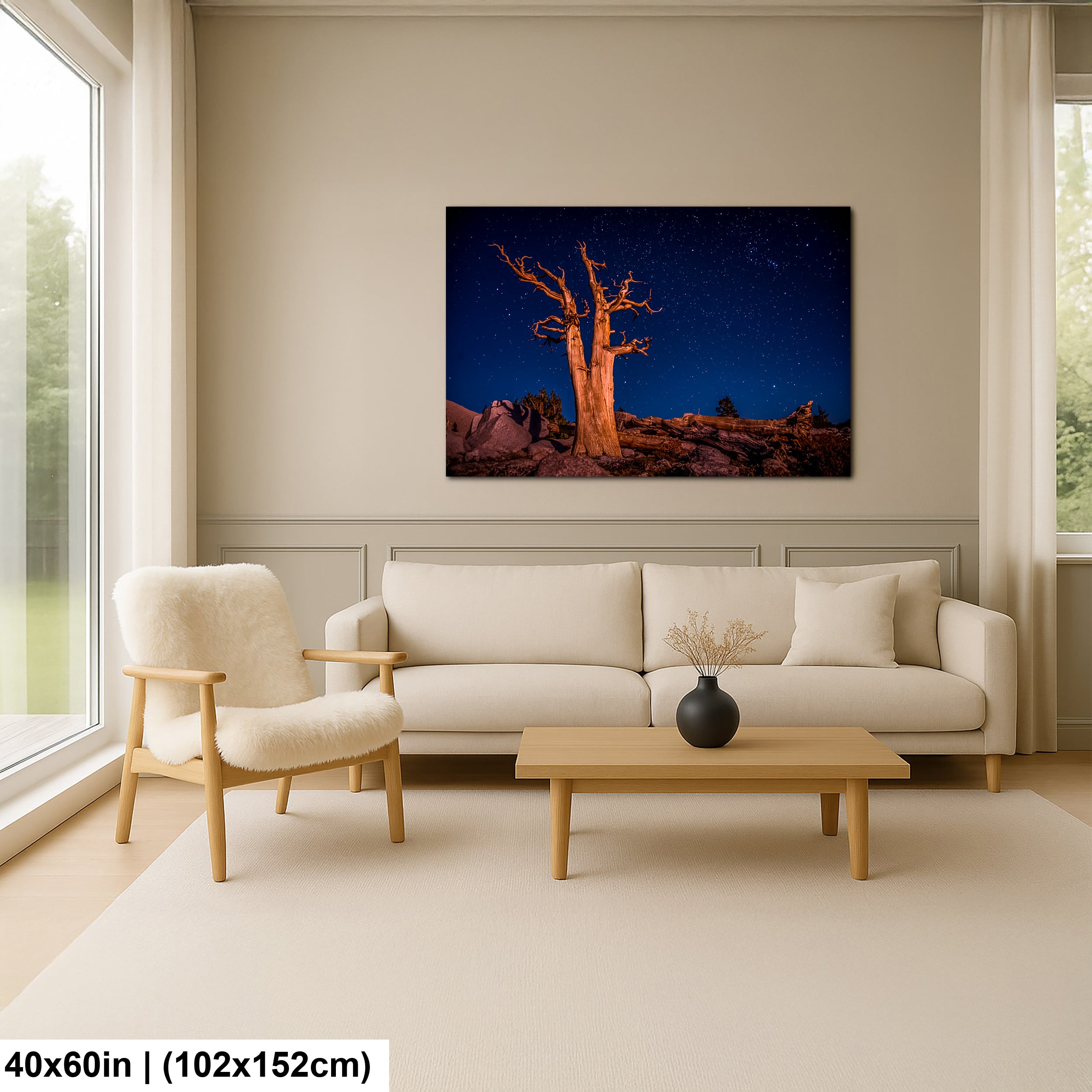 7-H-Scandinavian-40x60-Home-D85_8240-Enhanced-NR-2-diagram-H-Scandinavian-40x60-Home-min.jpeg